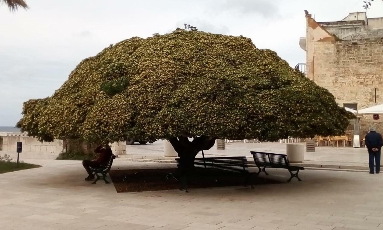 Willa Casa In Salento A Otranto Zewnętrze zdjęcie